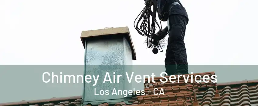 Chimney Air Vent Services Los Angeles - CA