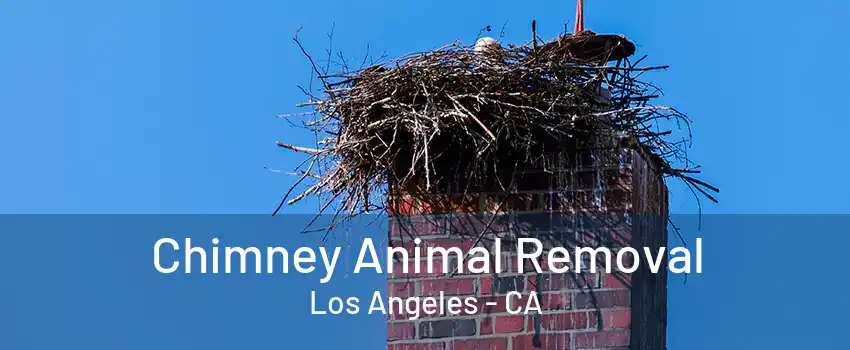 Chimney Animal Removal Los Angeles - CA