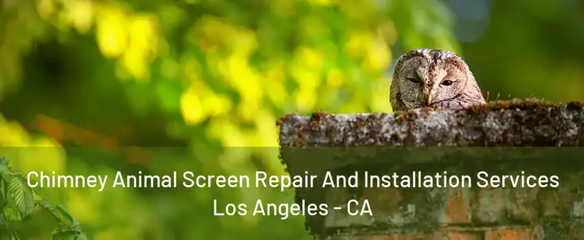 Chimney Animal Screen Repair And Installation Services Los Angeles - CA