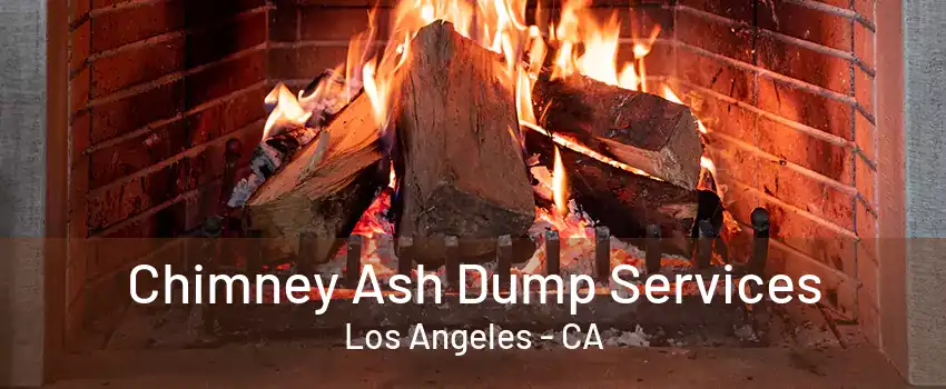 Chimney Ash Dump Services Los Angeles - CA