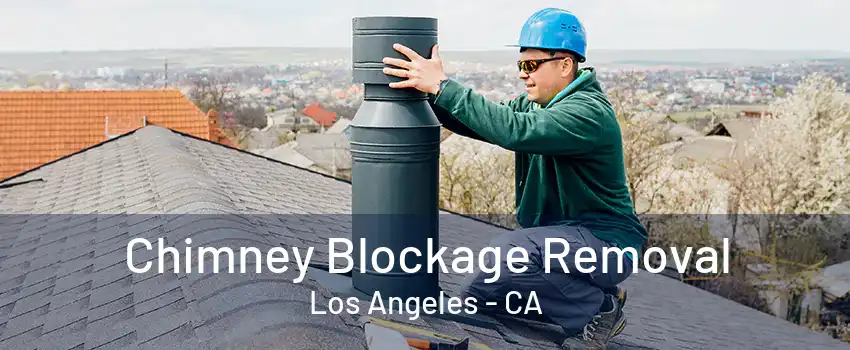 Chimney Blockage Removal Los Angeles - CA