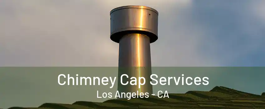 Chimney Cap Services Los Angeles - CA