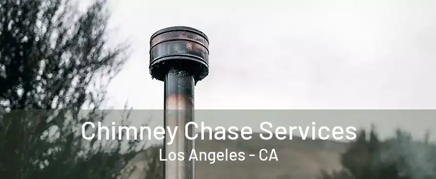 Chimney Chase Services Los Angeles - CA