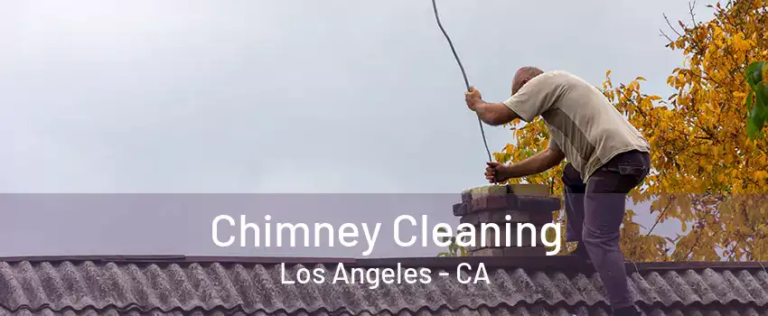 Chimney Cleaning Los Angeles - CA