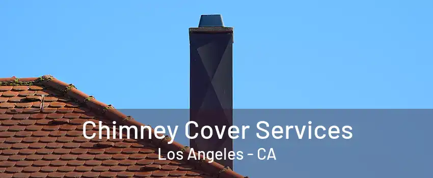 Chimney Cover Services Los Angeles - CA