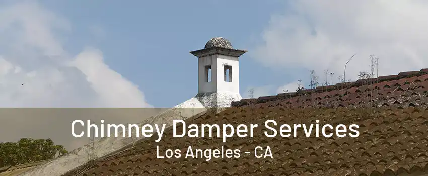 Chimney Damper Services Los Angeles - CA