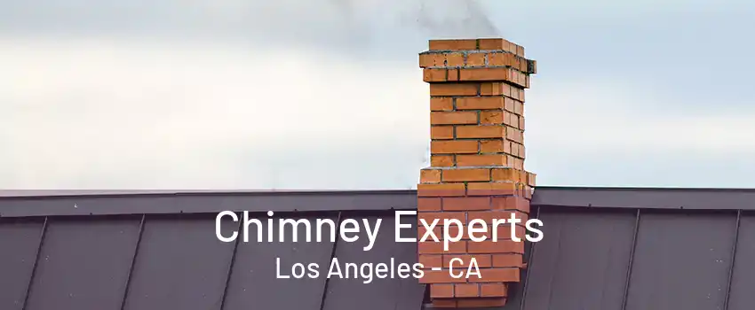 Chimney Experts Los Angeles - CA