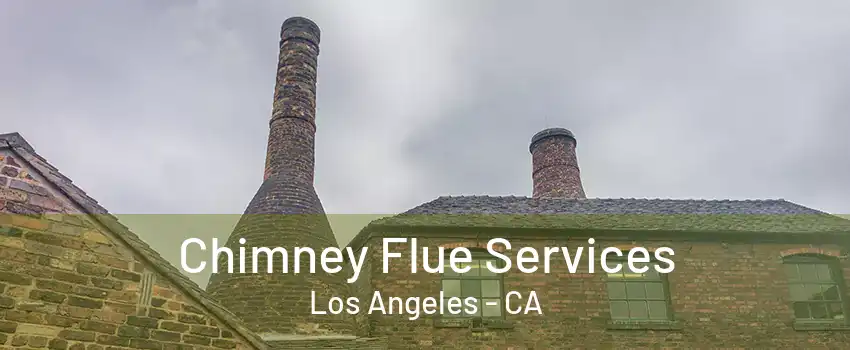 Chimney Flue Services Los Angeles - CA