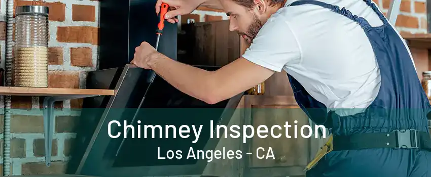 Chimney Inspection Los Angeles - CA