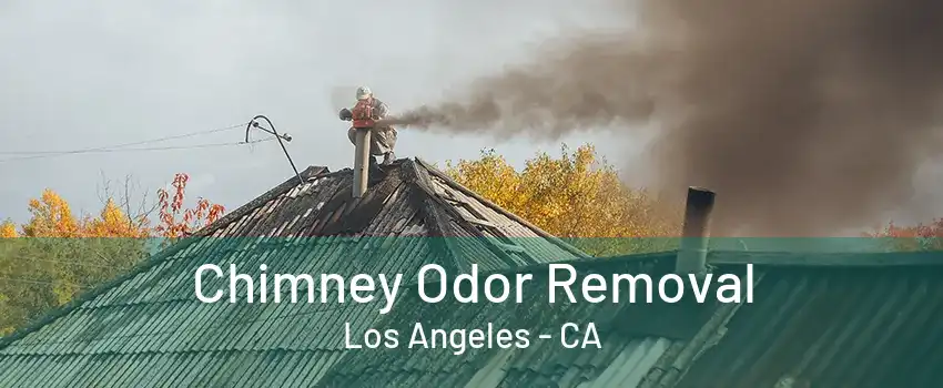 Chimney Odor Removal Los Angeles - CA