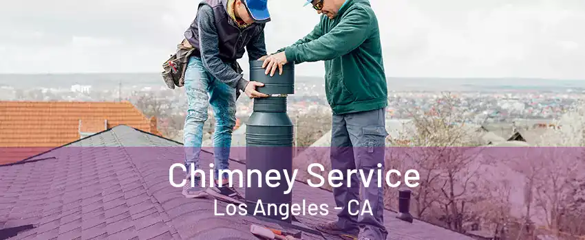 Chimney Service Los Angeles - CA