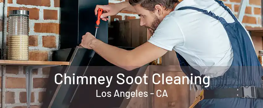 Chimney Soot Cleaning Los Angeles - CA