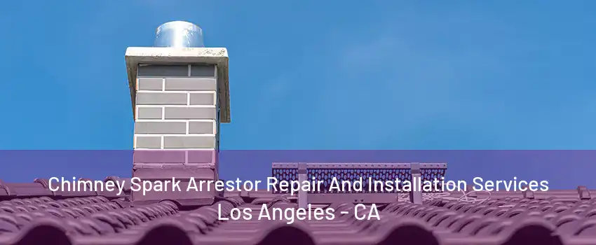 Chimney Spark Arrestor Repair And Installation Services Los Angeles - CA