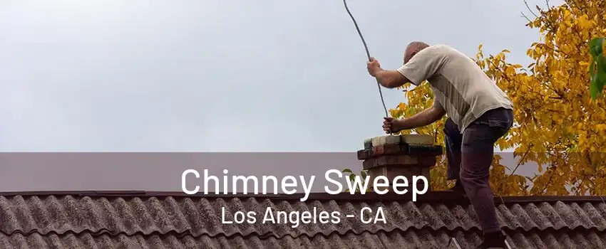 Chimney Sweep Los Angeles - CA