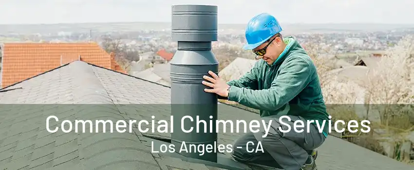 Commercial Chimney Services Los Angeles - CA