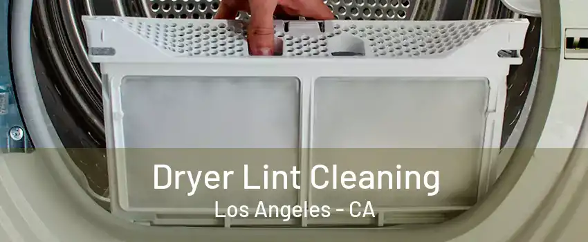 Dryer Lint Cleaning Los Angeles - CA