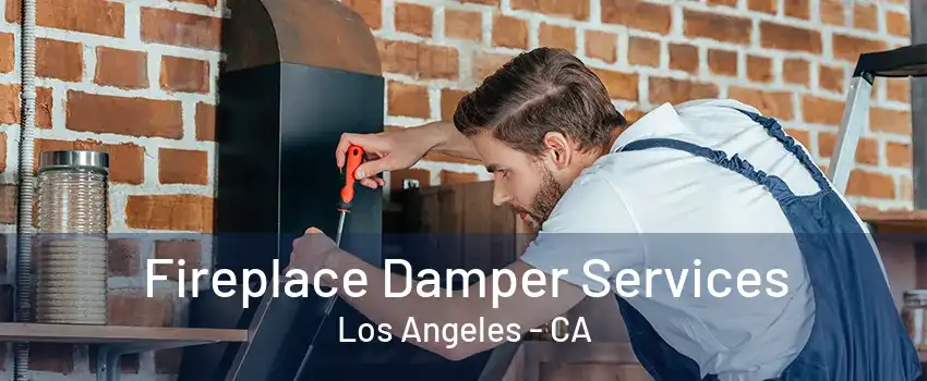 Fireplace Damper Services Los Angeles - CA