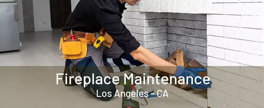 Fireplace Maintenance Los Angeles - CA