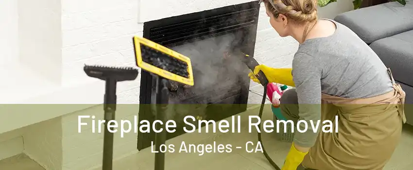 Fireplace Smell Removal Los Angeles - CA