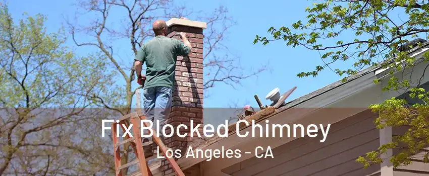 Fix Blocked Chimney Los Angeles - CA