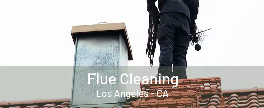 Flue Cleaning Los Angeles - CA