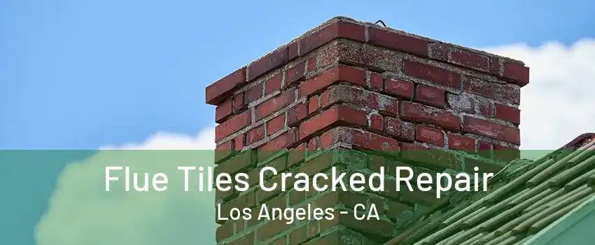 Flue Tiles Cracked Repair Los Angeles - CA