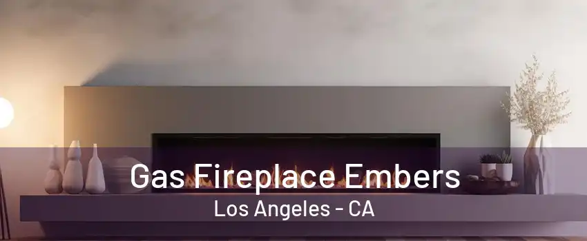 Gas Fireplace Embers Los Angeles - CA