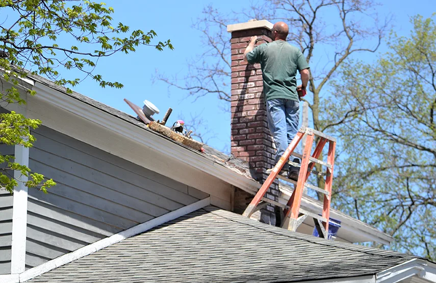 Chimney & Fireplace Inspections Services in Los Angeles, CA