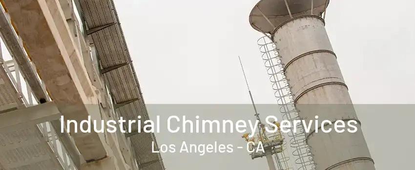 Industrial Chimney Services Los Angeles - CA