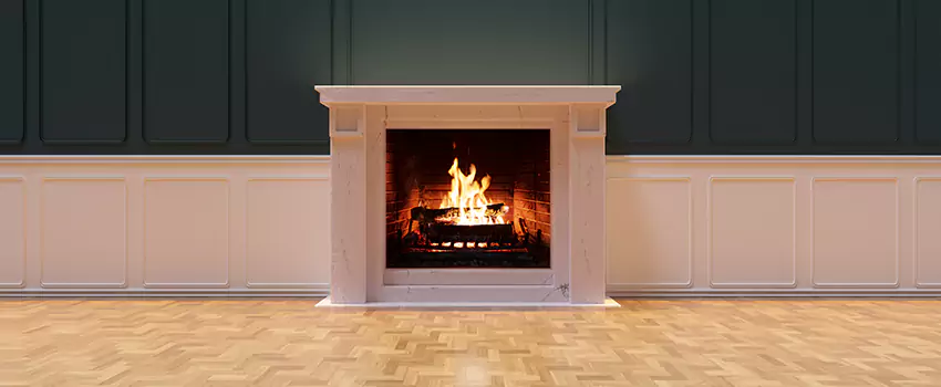 Napoleon Electric Fireplaces Inspection Service in Los Angeles, California