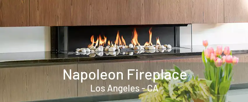 Napoleon Fireplace Los Angeles - CA